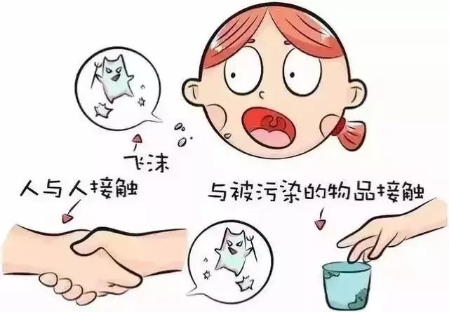 实用预防流感必备知识get!