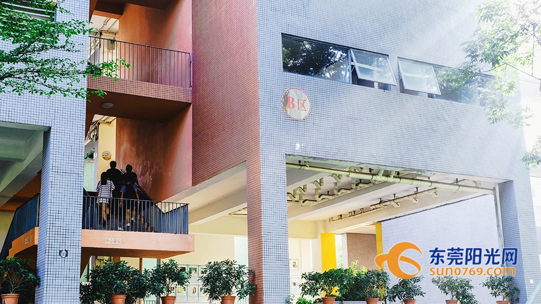 1585616801147424.jpg 20203319258.jpg