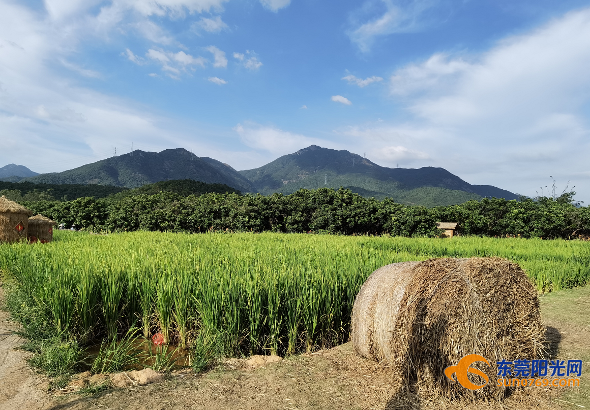 1602930282318992.png image.png