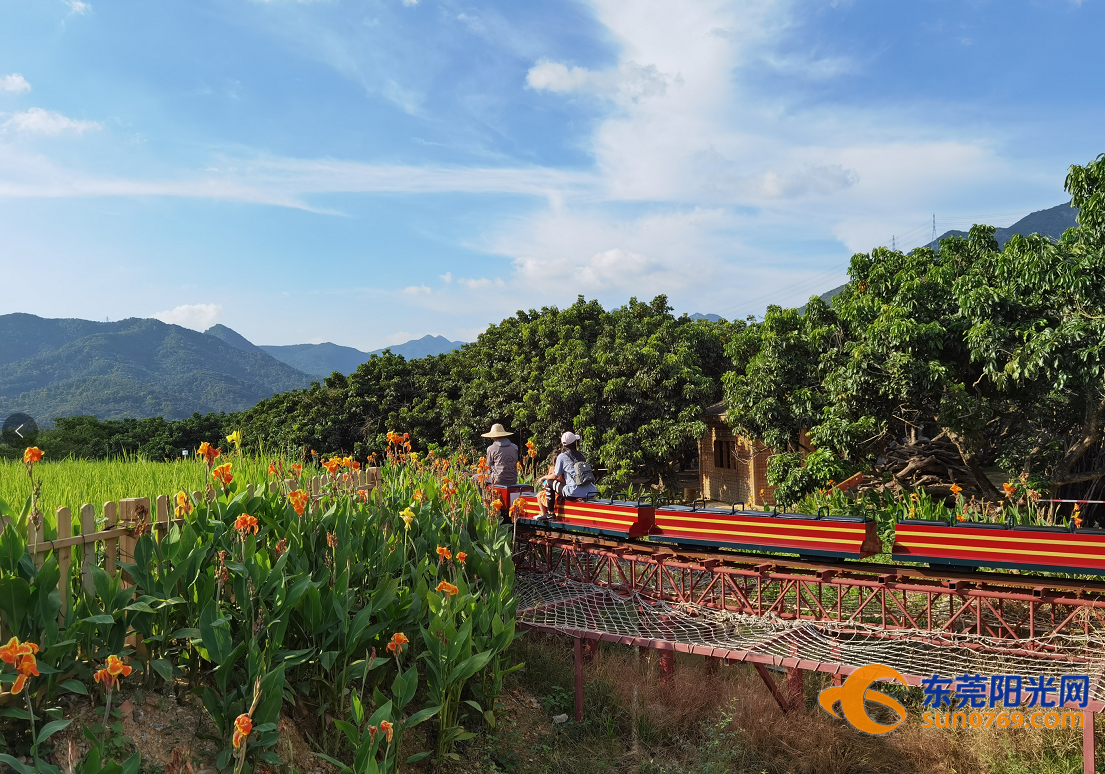 1602930306682850.png image.png