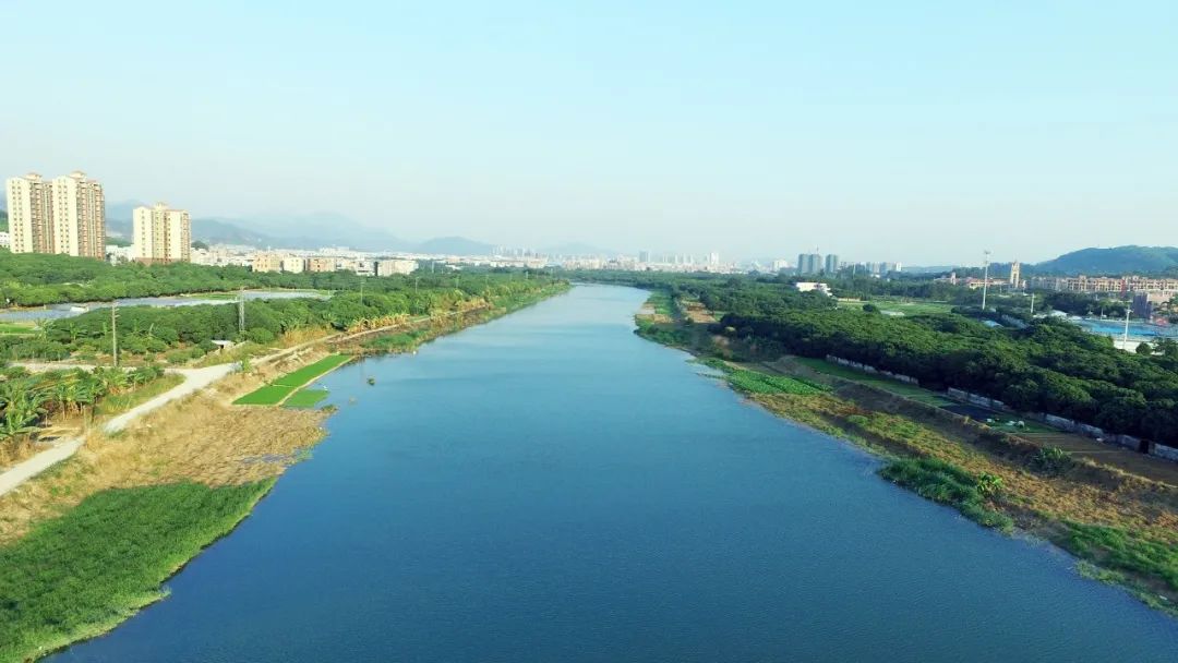 清溪水碧波荡漾,美成一道流动风景线-知东莞