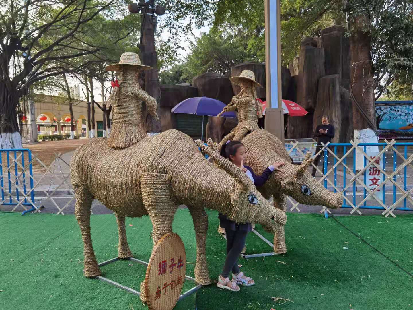适逢牛年,邀请了民间的能工巧匠结合我镇牛文化元素,用稻草纯手工编制
