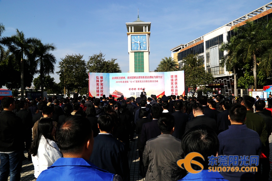 道滘门户网站建设_(道滘镇政府信息公开平台)