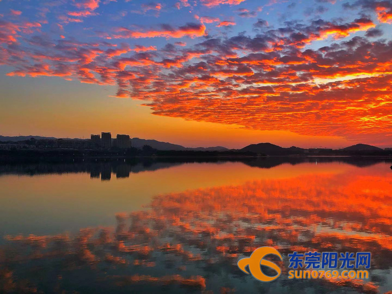 朋友圈被东莞晚霞刷屏了如此美景岂能错过