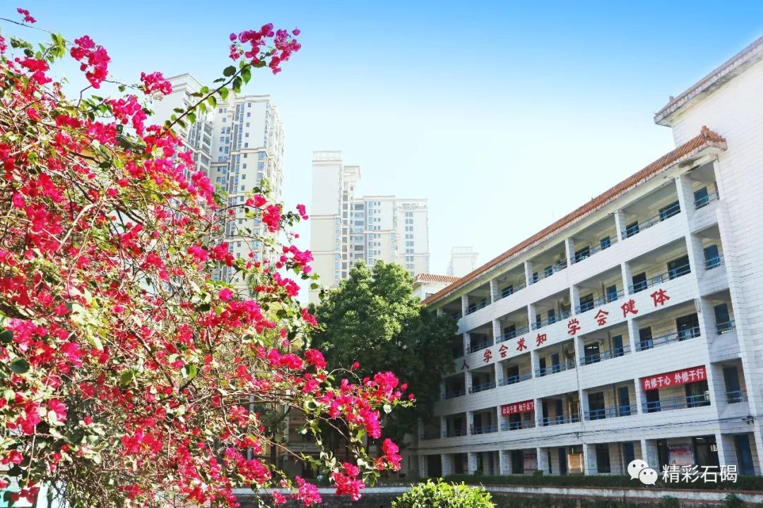 在石碣中学校园里,巨型"诚"文化石在苍穹之下巍然屹立,雄伟壮观;"诚"