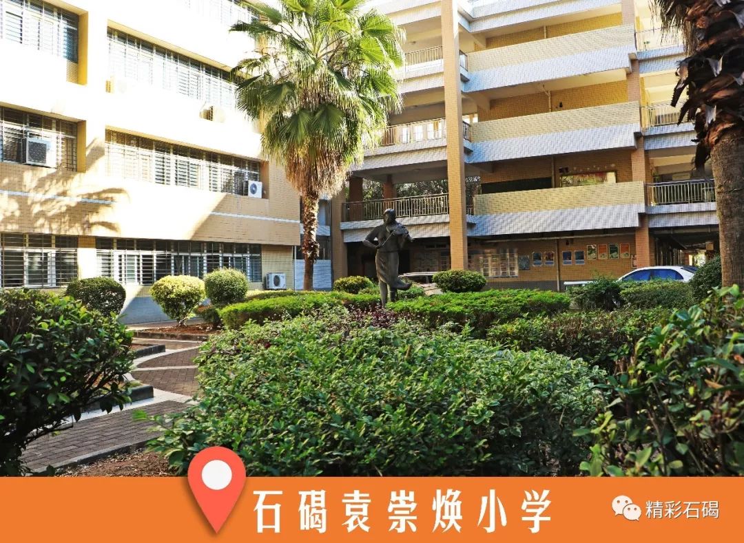 石碣袁崇焕小学走进袁崇焕中学,绿树晃动身姿,紫荆花热情奔放,跑道