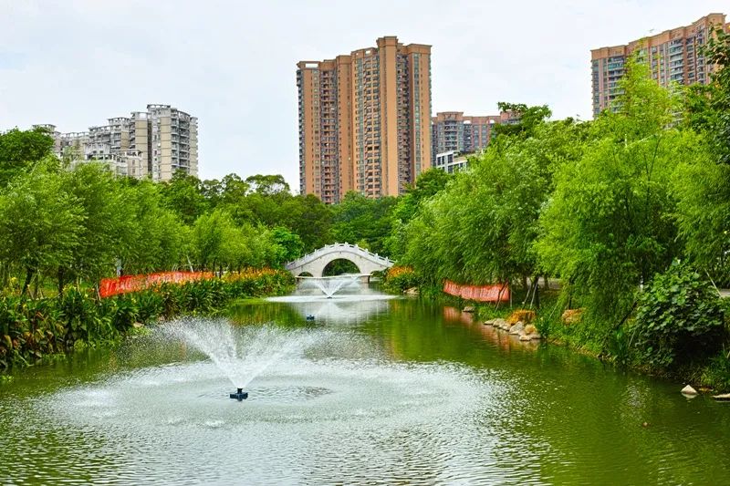 鳳山公園整治提升行動將為期6個月針對市委對厚街鎮精神文明建設工作