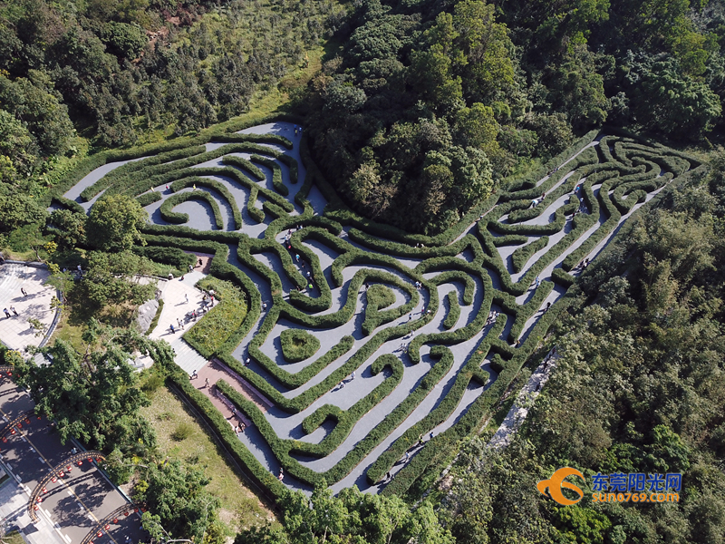 另外,塘厦大屏嶂森林公园采用将迷宫文化渗透到景观环境艺术的设计