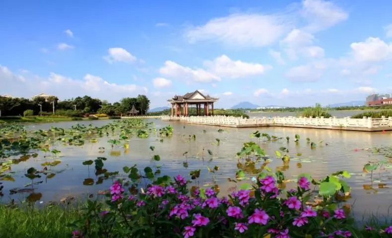 如果你来松山湖不到各个公园里走走,也是说不过去的.