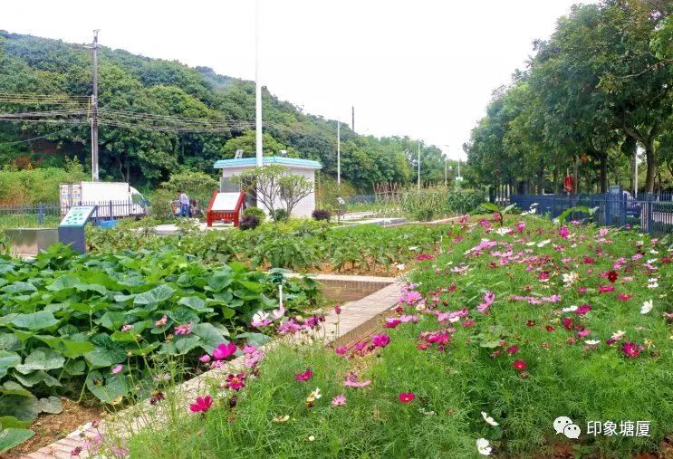 投入1500多万元为这个社区美颜龙背岭美丽村居建设通过市综合组验收