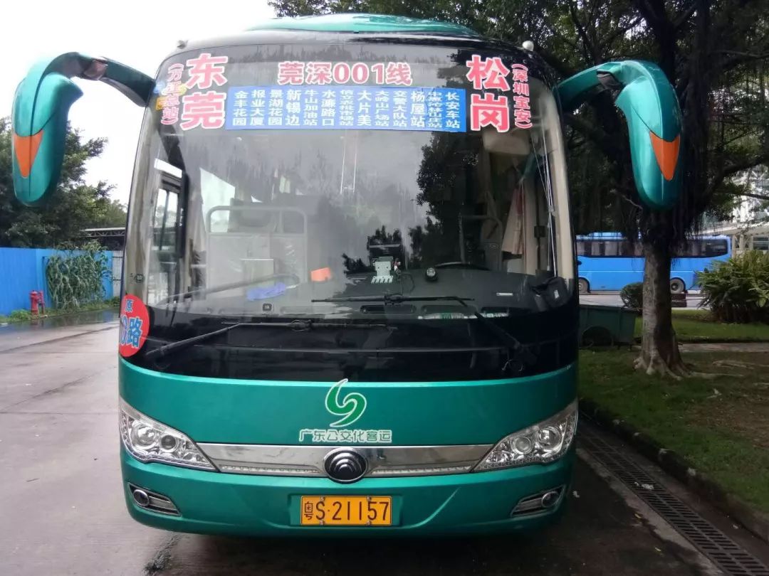全省首条公交化客运班线在东莞正式运营