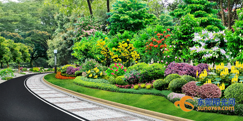 景观绿化提升工程效果图