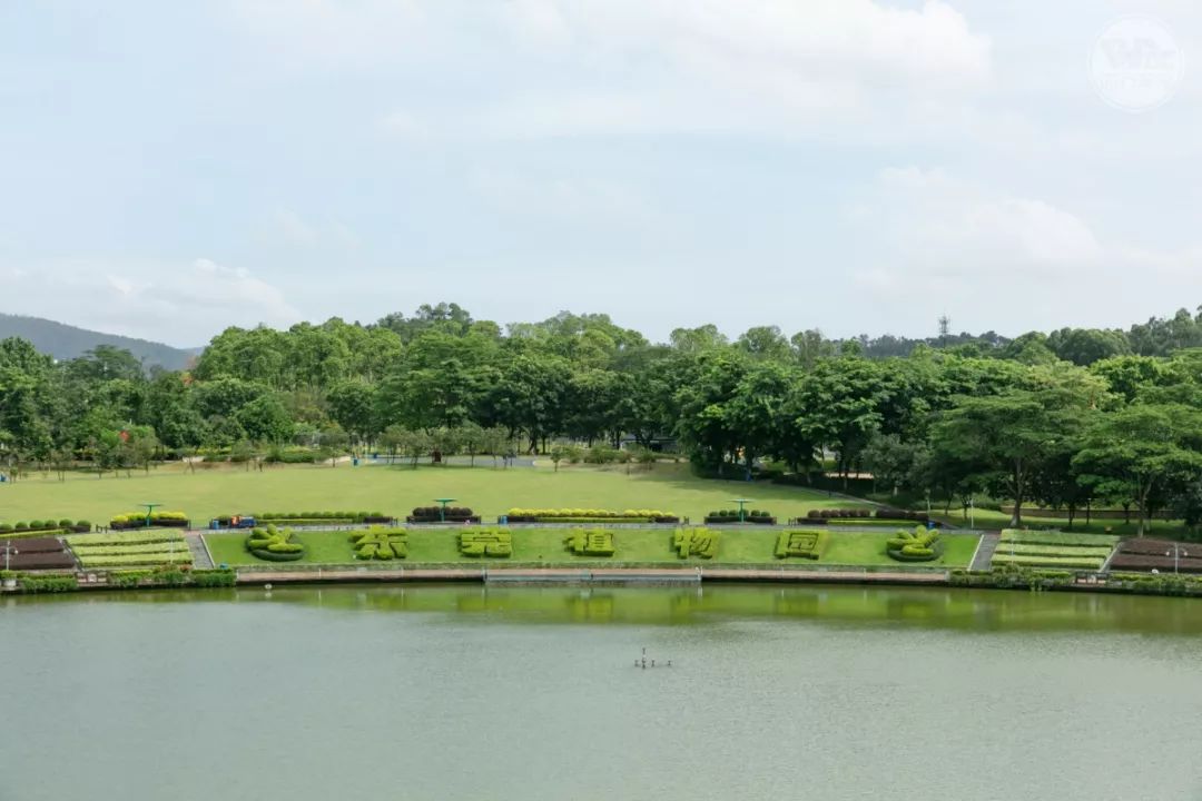 东莞植物园的所有景点图片