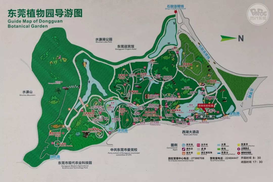 惊艳东莞植物园已经变了还不快来