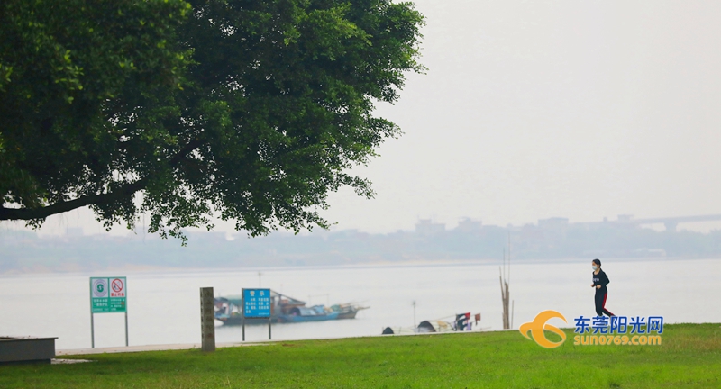 满园春色关不住东莞公园开门迎客