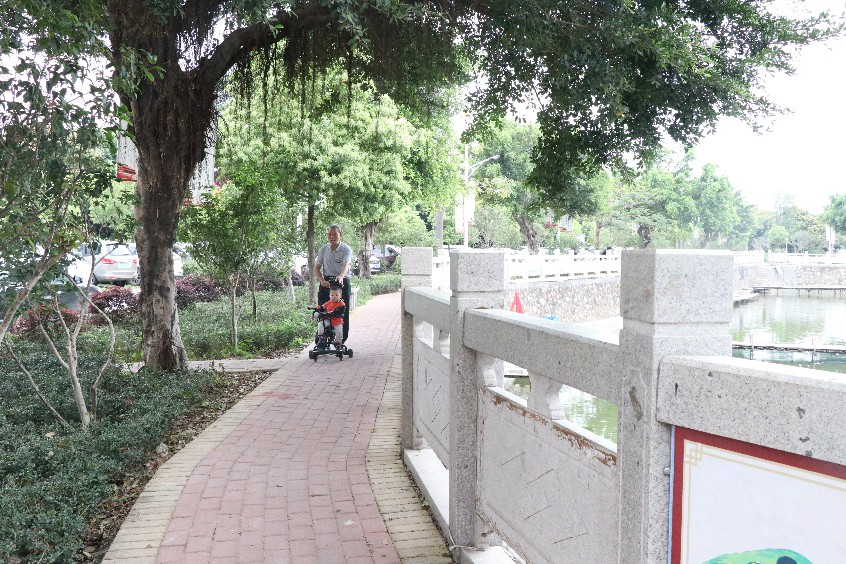 大朗镇竹山社区:打造美丽宜居环境