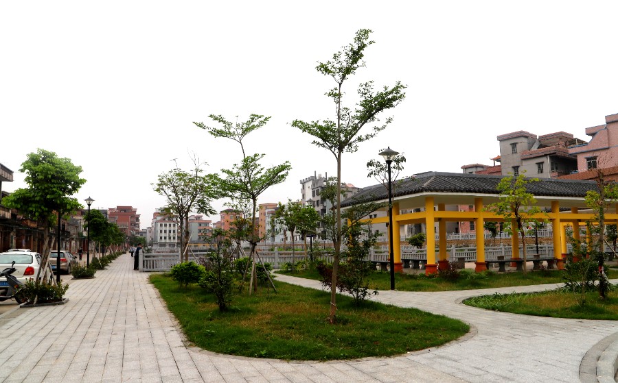 石碣镇立足乡土文化推进乡村振兴