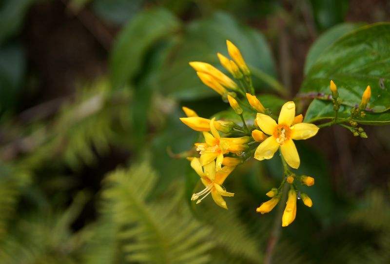 大意不得五月份务必提防这6种疾病