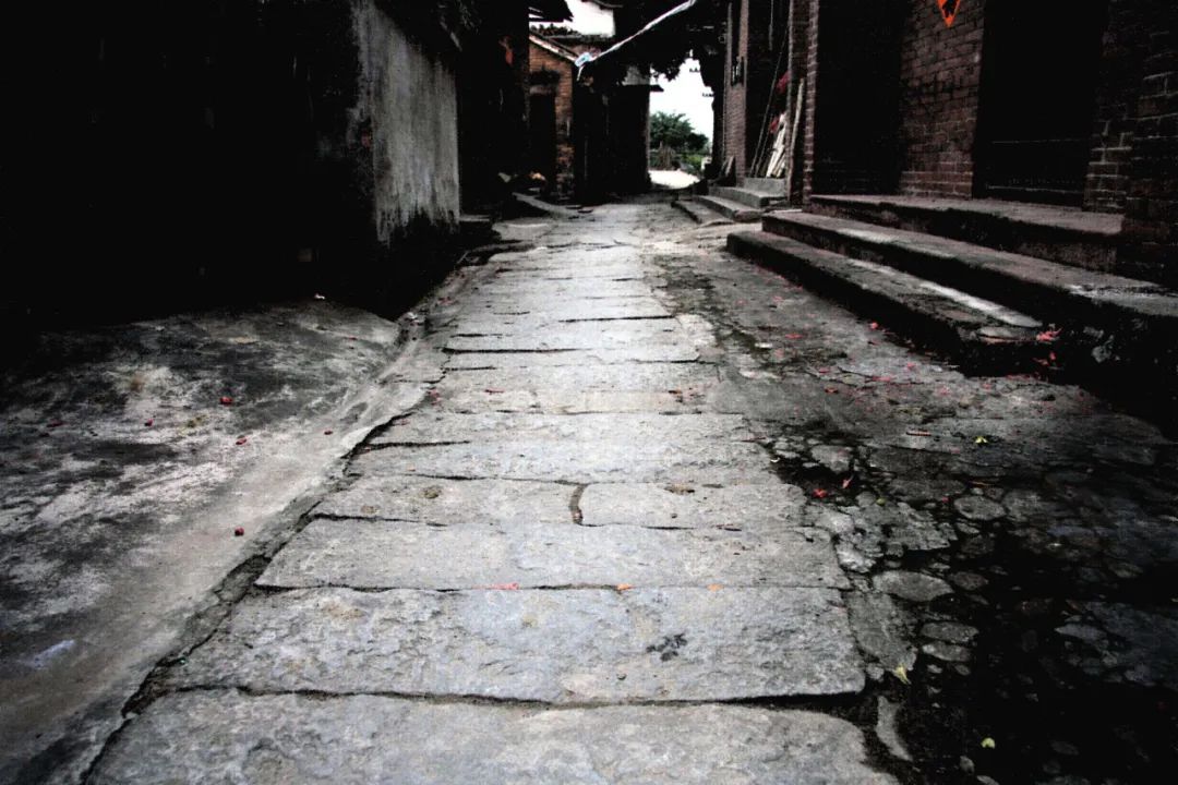 高埗镇芦村村:依托渡口文化 打造"江色映日·时光半岛"