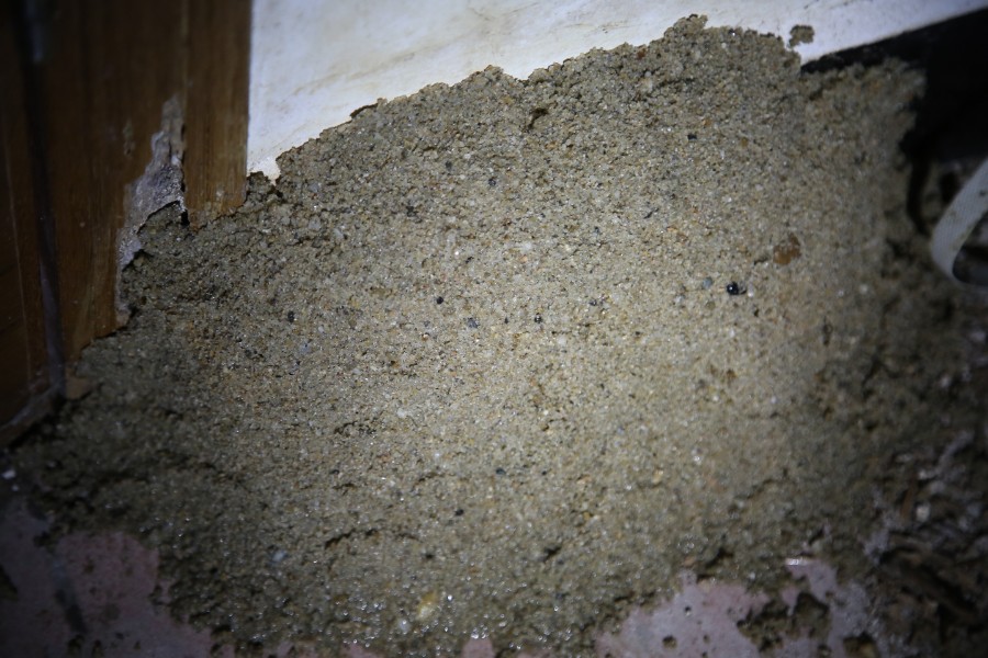 又到飞蚁倾巢出动时防范飞蚁有妙招