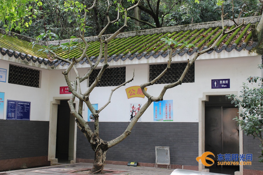 企石持续推进"厕所革命" 让"方便"之处更方便