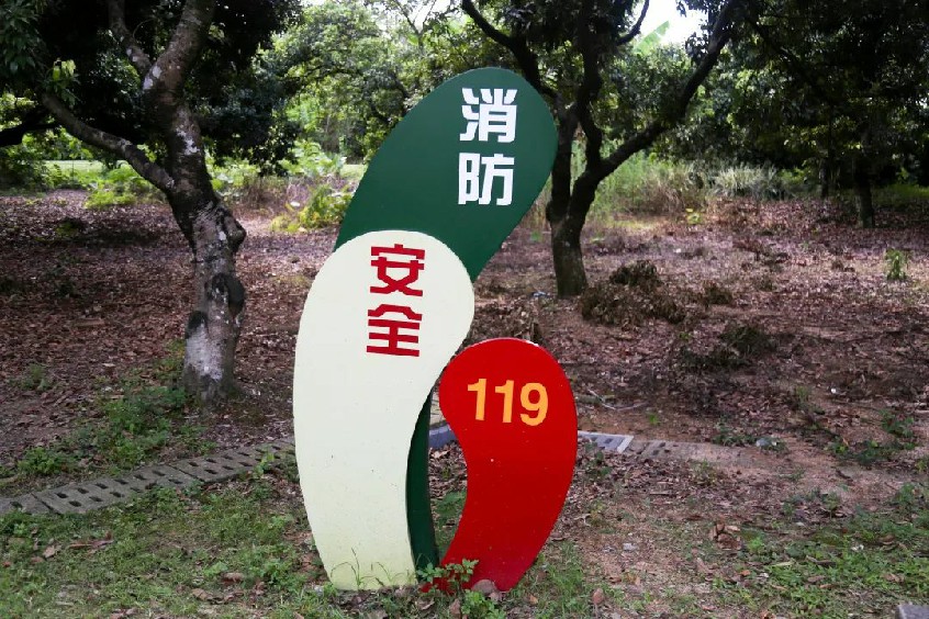 既能打卡又能玩游戏大朗安全生产主题公园不一般