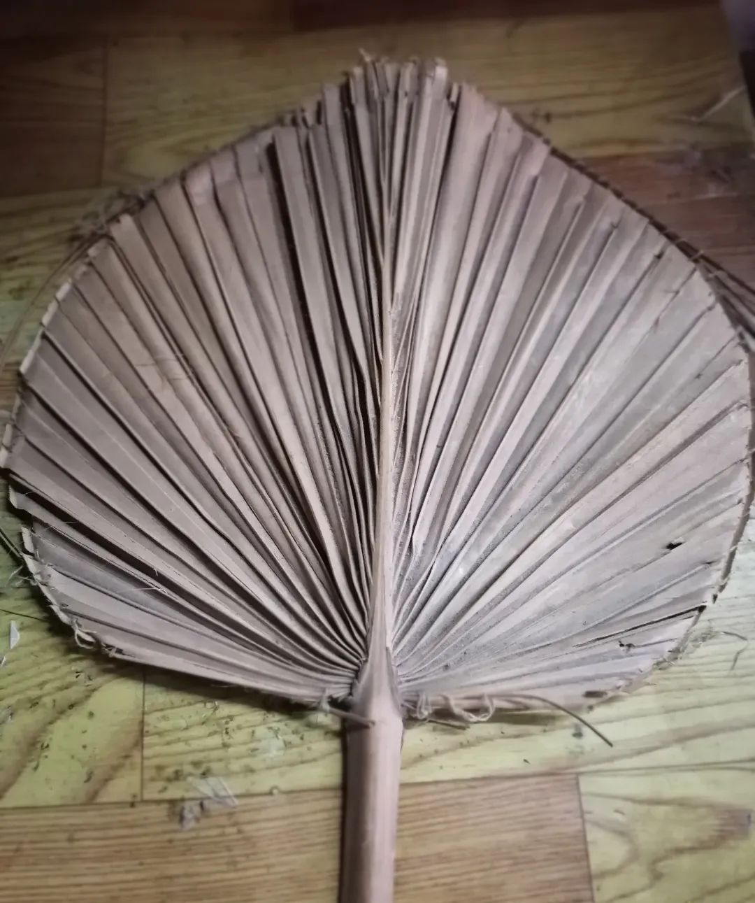 大葵扇沉淀着许多高埗街坊的回忆,夏天的晚饭后,天色渐暗,白天里持续