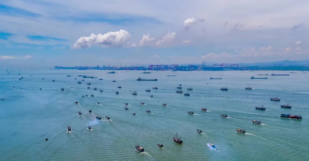 开渔第一网来虎门新湾吃海鲜咯