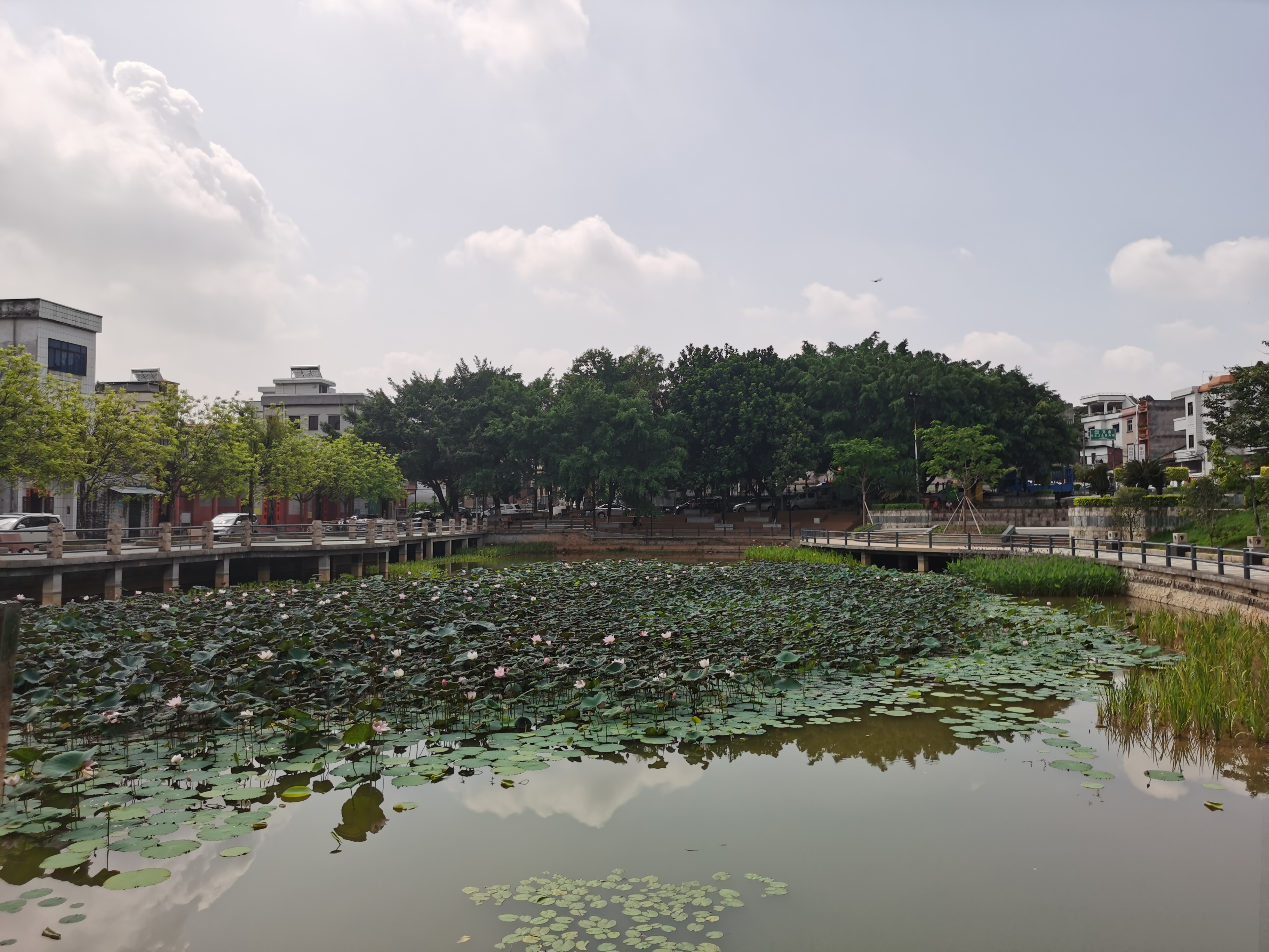 寮步:1000万打造文化公园 美景处处备受群众欢迎