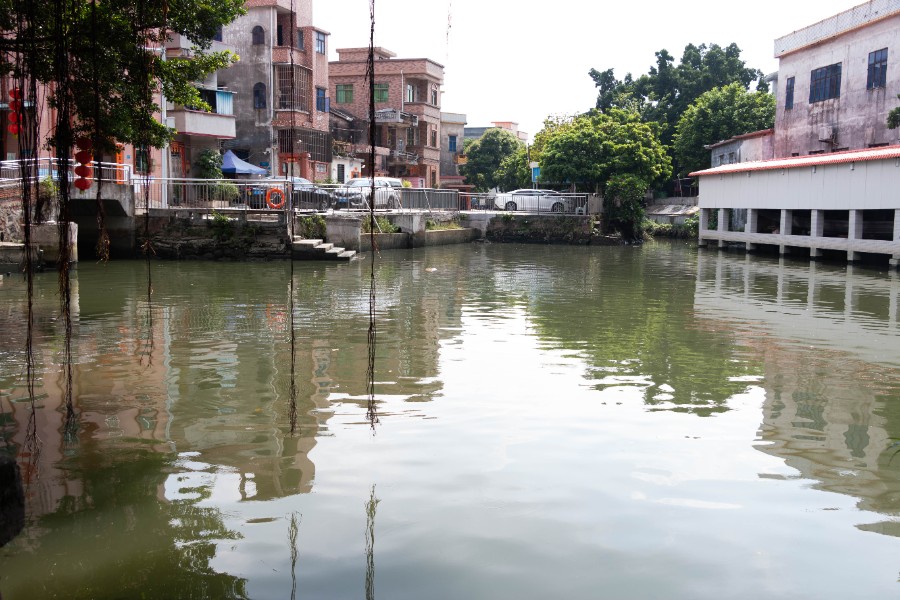 中堂:"雨污分流"初见成效 水乡美景再现