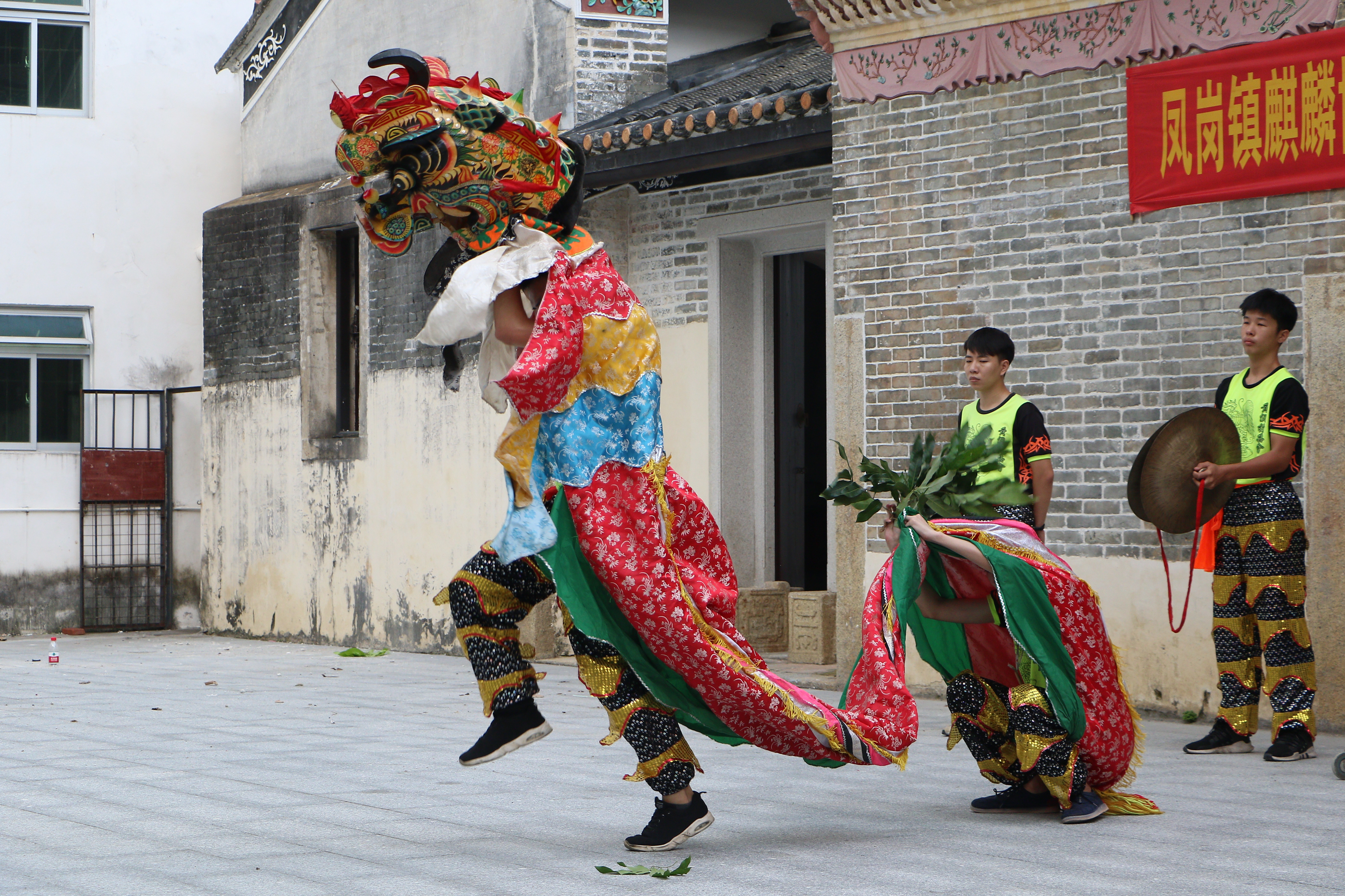 凤岗黄洞村麒麟舞队积极备战广东省第六届麒麟舞大赛