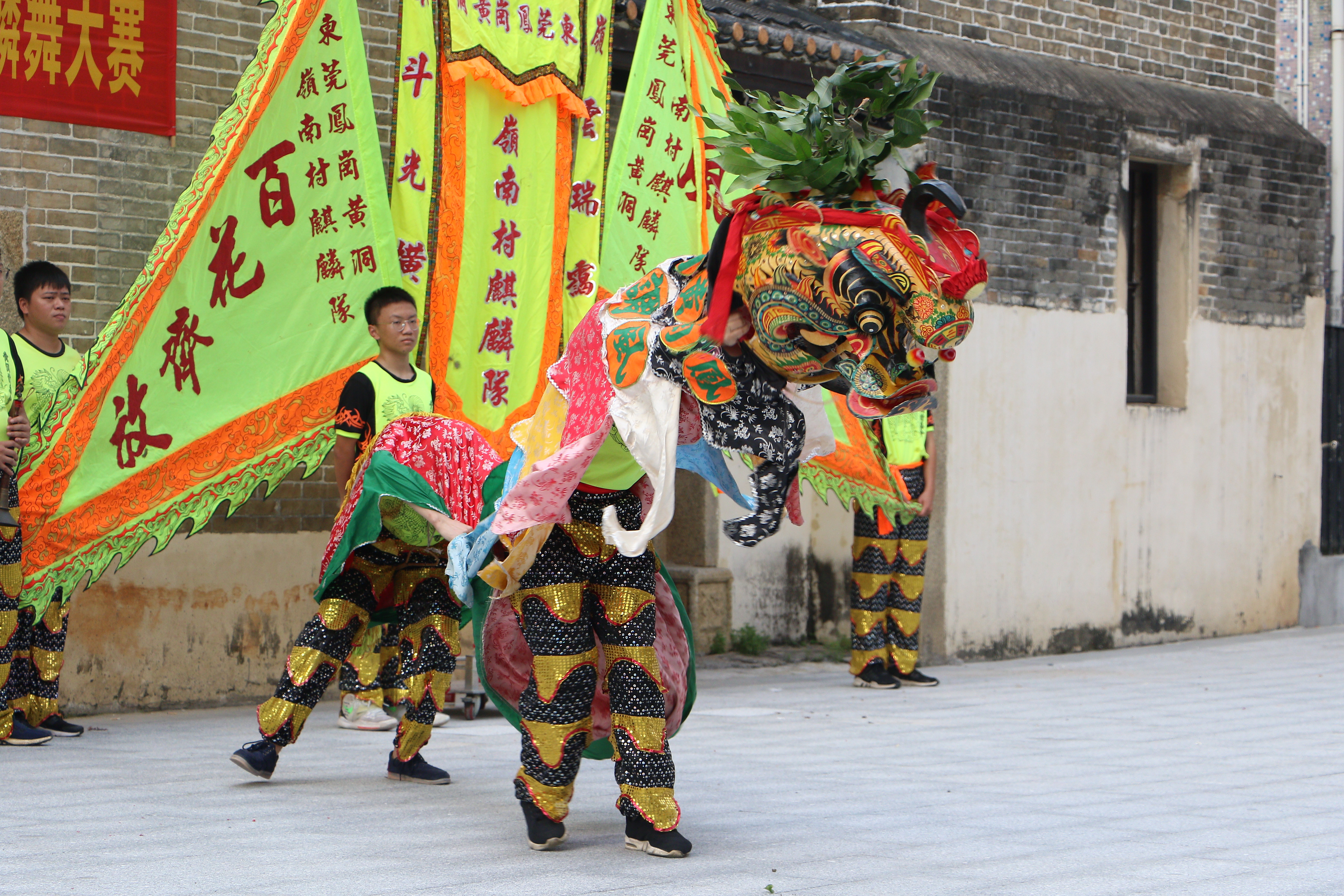 凤岗黄洞村麒麟舞队积极备战广东省第六届麒麟舞大赛