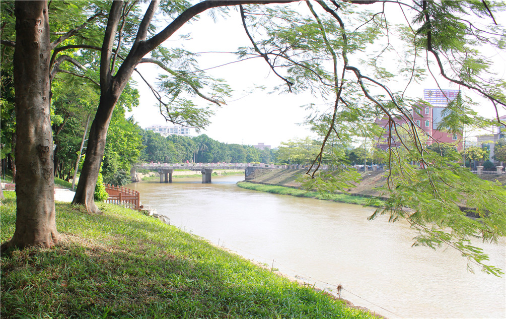 企石香堤公园重现河清岸绿景美新景观