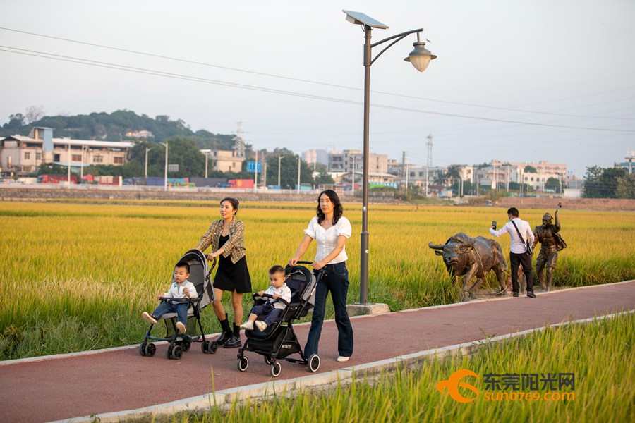 鍾榴青 攝影 雲遊四方 陳俊鵬)適逢週末,茶山鎮上元稻田公園內遊人如