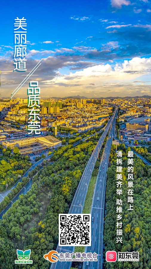 带你逛逛东莞那些"美丽廊道》